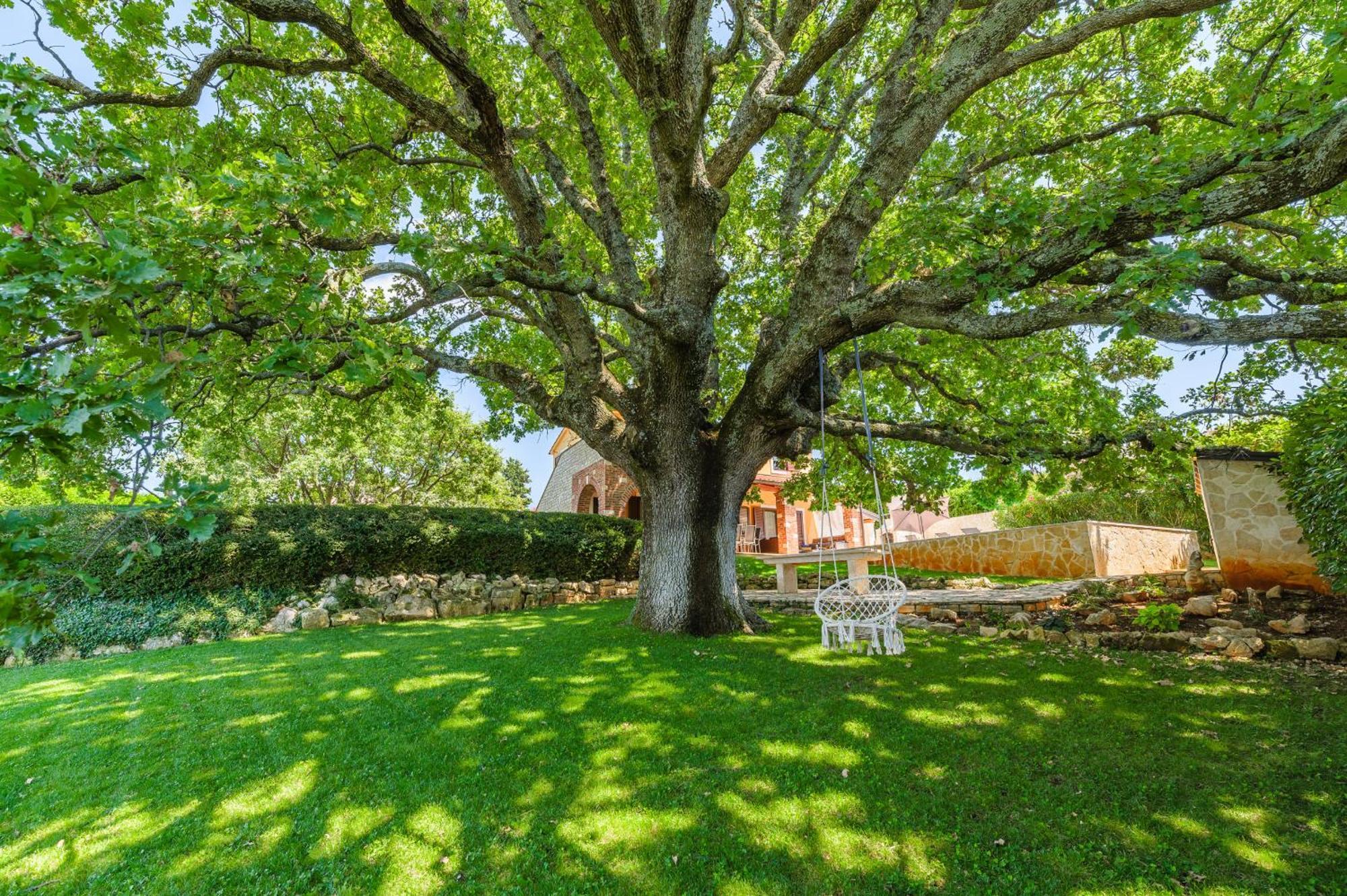 Villa Hrast Bacva Вишнян Экстерьер фото