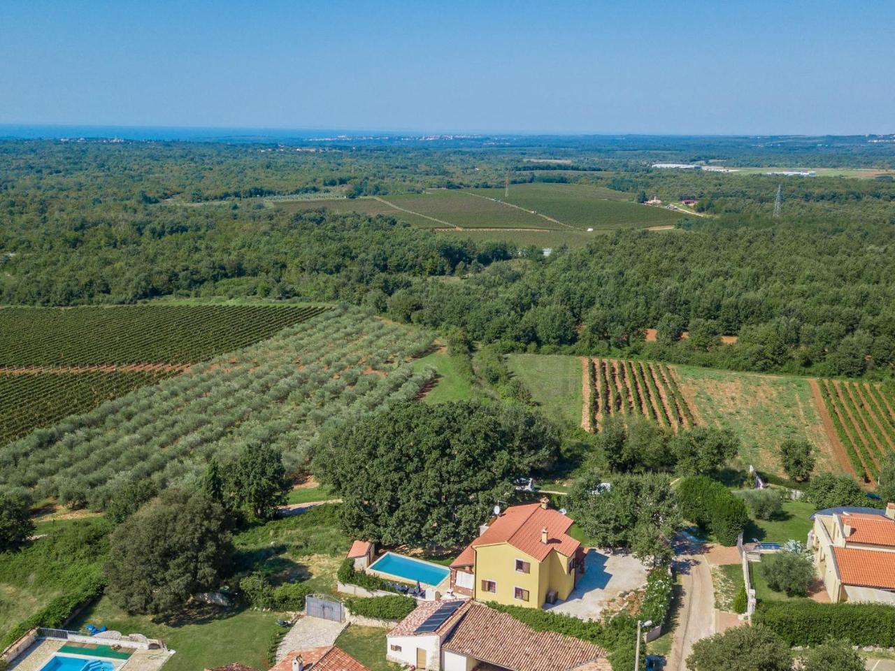 Villa Hrast Bacva Вишнян Экстерьер фото